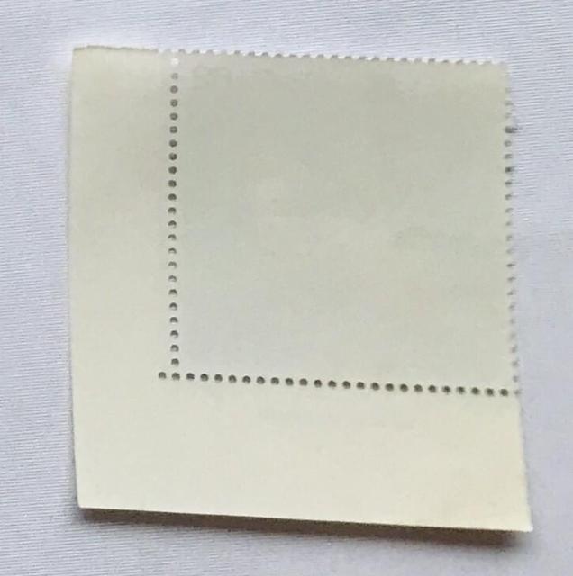 A}TM@Bubulcus ibis 6Q~؎@ŕt 呠Ȉǐ  zr[ 