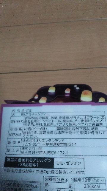 ���]�[�g���v���c�F���O�~ �� �C���e���A/���C�t�� 