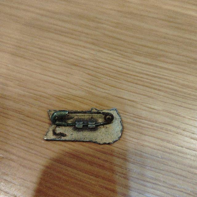 ��_�^�C�K�[�X Tigers ���S �G���u������ �s���o�b�W �싅 �O�b�Y �R���N�V���� �� ���W���[/�X�|�[�c�� 