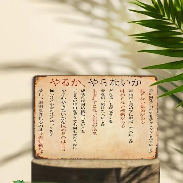 Xi790~Be[WŔAl8̃[AǏAMtgɍœK 30cm~20
