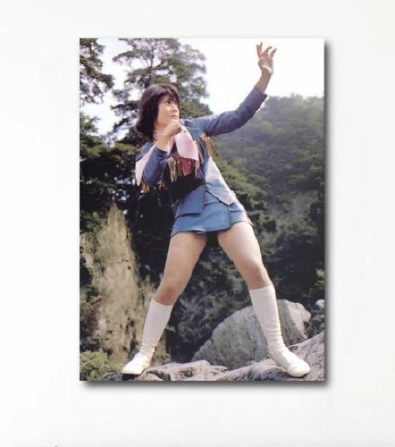 新品☆タペストリー☆昭和の本格スーパーアクション女優.志穂美悦子 < インテリア/ライフ  新品☆タペストリー☆昭和の本格スーパーアクション女優.志穂美悦子  < インテリア/ライフの