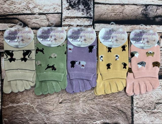 Iw摜TgxƕtŃYɂIL񕿁IKIȍN[T{w\bNX  t@bV 