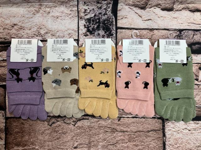 Iw摜TgxƕtŃYɂIL񕿁IKIȍN[T{w\bNX  t@bV 