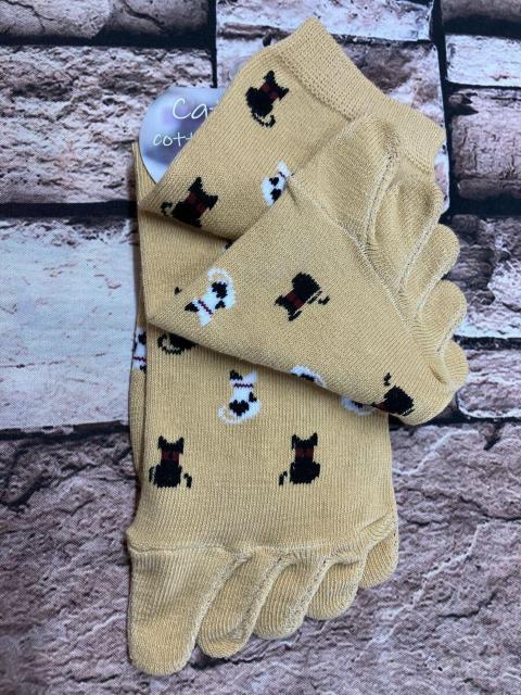 Iw摜TgxƕtŃYɂIL񕿁IKIȍN[T{w\bNX  t@bV 