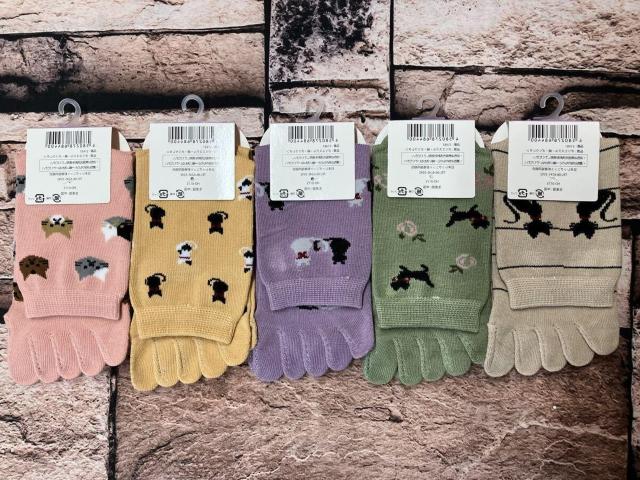 Iw摜TgxƕtŃYɂIL񕿁IKIȍN[T{w\bNX  t@bV 