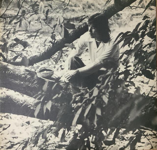 布施明 ベスト・アルバム LPレコード 1974年 キングレコード 伝説の歌声 昭和レトロ < CD/DVD/ビデオ 布施明 ベスト・アルバム LPレコード 1974年 キングレコード 伝説の歌声 昭和レトロ < CD/DVD/ビデオの