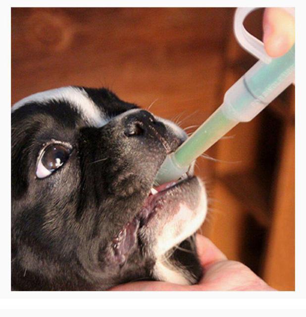 □犬猫ペット用□投薬給水スポイトシリンジ□経口投薬注入型□小動物□ < ペット/手芸/園芸  □犬猫ペット用□投薬給水スポイトシリンジ□経口投薬注入型□小動物□ < ペット/手芸/園芸の