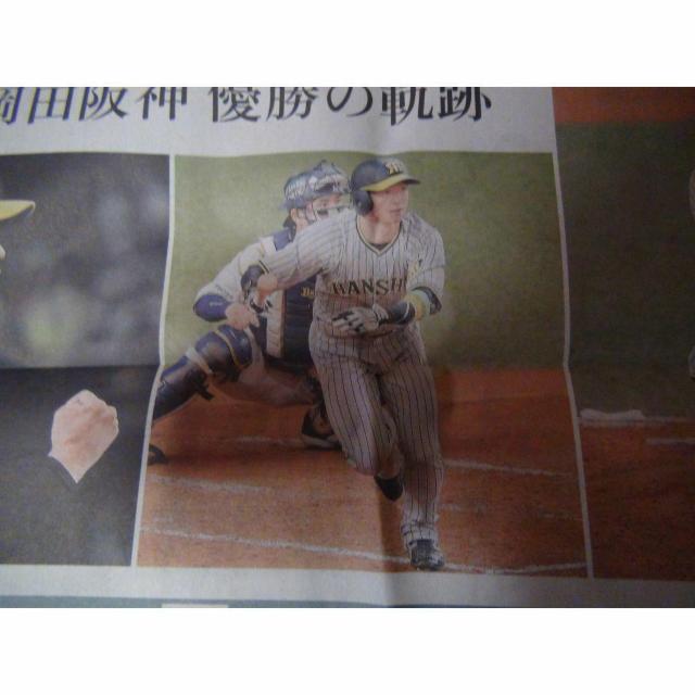 _D38NԂ{ cē O2023N115 Vigp !B  zr[ 