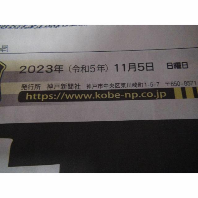 _D38NԂ{ cē O2023N115 Vigp !B  zr[ 