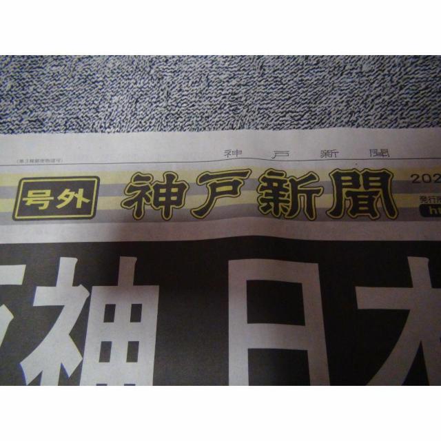 _D38NԂ{ cē O2023N115 Vigp !B  zr[ 