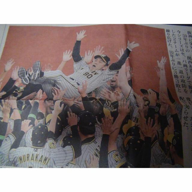 _D38NԂ{ cē O2023N115 Vigp !B  zr[ 