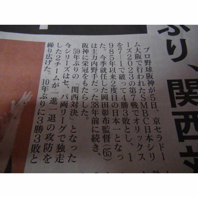 _D38NԂ{ cē O2023N115 Vigp !B  zr[ 