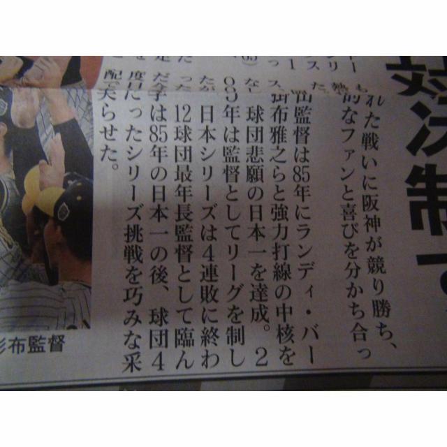 _D38NԂ{ cē O2023N115 Vigp !B  zr[ 