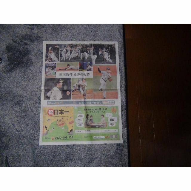 _D38NԂ{ cē O2023N115 Vigp !B  zr[ 