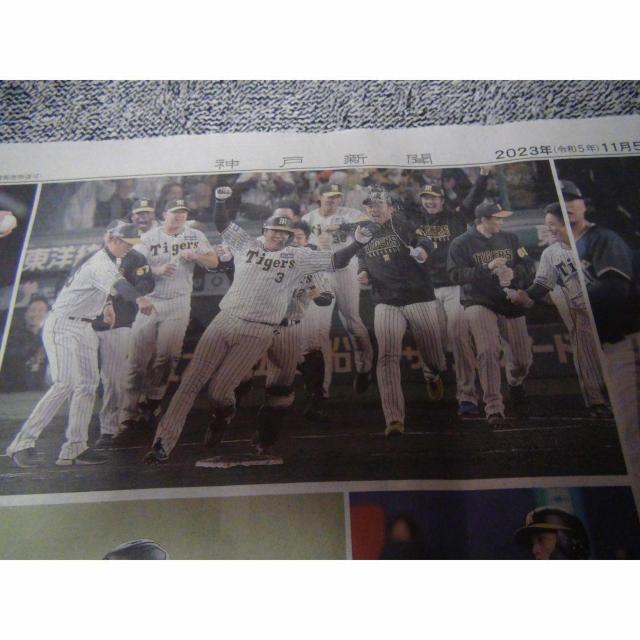 _D38NԂ{ cē O2023N115 Vigp !B  zr[ 