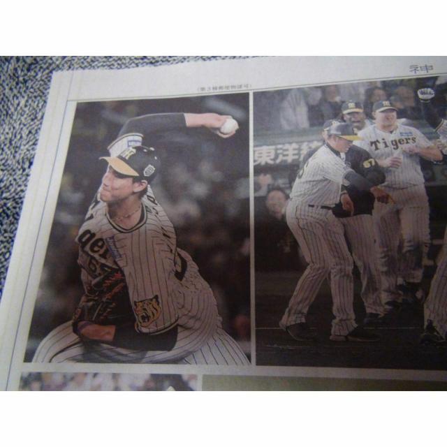 _D38NԂ{ cē O2023N115 Vigp !B  zr[ 