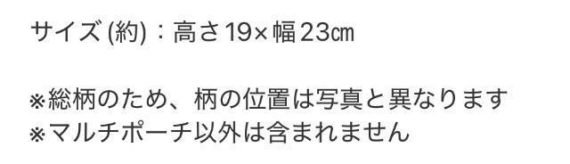 SPRiNG�G���t�^��Ray BEAMS��4�|�P�b�g�}���`�|�[�`