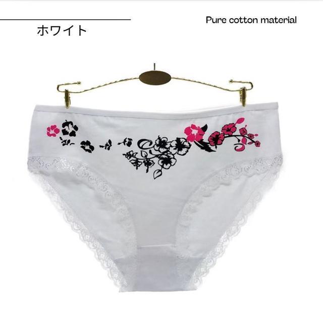 fB[XV[c 6Zbg nCEGXg Rbg [ 95% 傫TCY pc  [ 3L 4L 5L   t@bV 