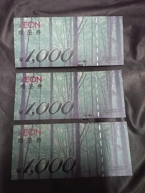 �C�I�����i���@3000�~�� �M�t�g�����|�C���g�؎�����x���� 