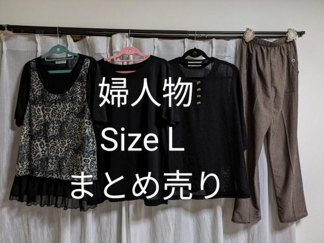 []Sizek/wl/܂Ƃߔ//   t@bV 