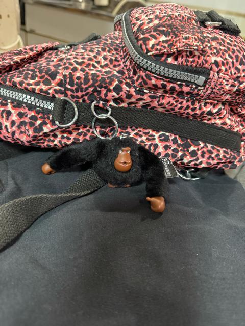 ӂ߂āKIPLINGbNEO[I[CETVc3_܂Ƃߔ聚1000~X^[gɔi