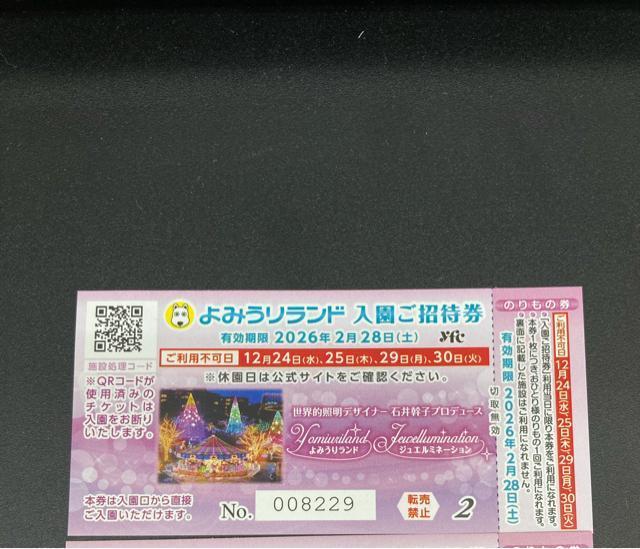 ��݂��胉���h�@����`�P�b�g�@�P��  �� �`�P�b�g/������ 