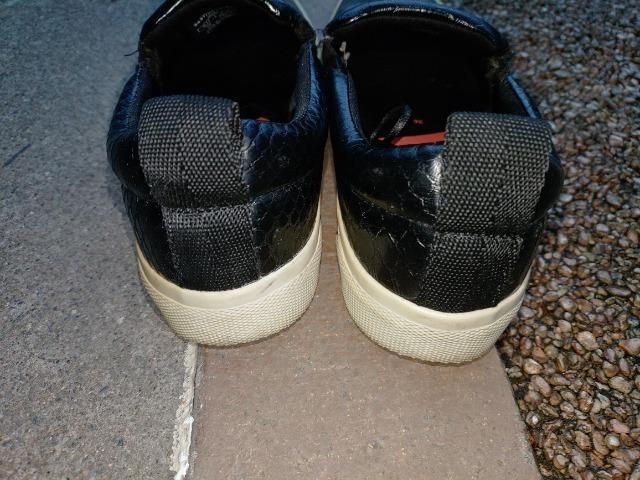 ZARA  ��  �X�j�[�J�[  �Q�R.�Tcm �� �u�����h�� 