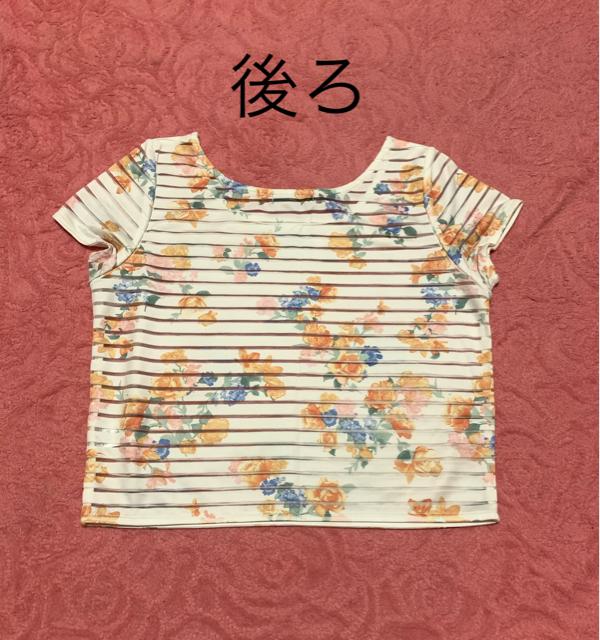 リエンダ*Tシャツ*透かしボーダートップス*バラ柄 < ブランド  リエンダ*Tシャツ*透かしボーダートップス*バラ柄 < ブランドの