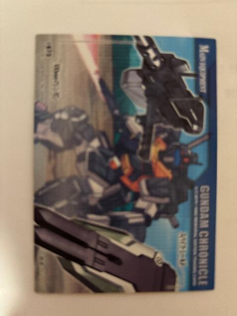 GUNDAM CHRONICLEyRGM-79FP/GM STRIKERz 