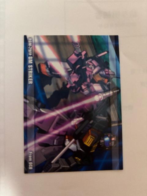 GUNDAM CHRONICLEyRGM-79FP/GM STRIKERz