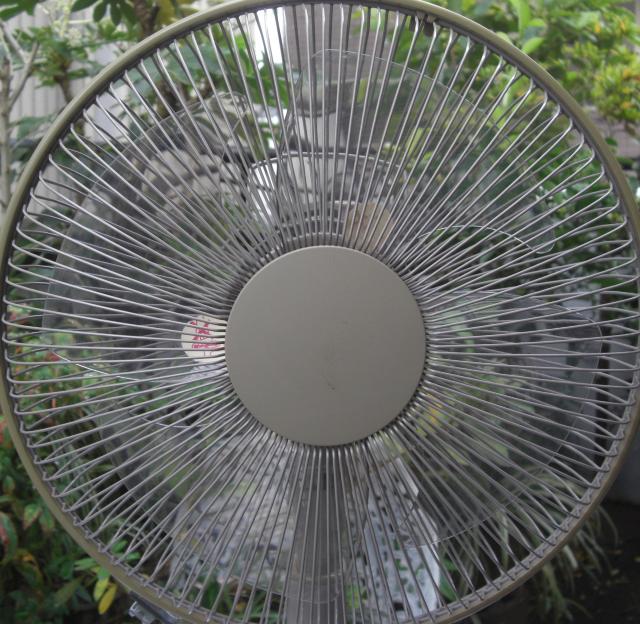 TOSHIBA/F-LA2130cm�����~��@4���H���Ê����i!!1121 �� �Ɠd/AV�� 