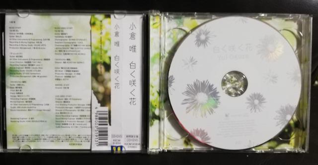 qB 炭 ԌCD+DVD  ^gObY 