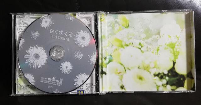 qB 炭 ԌCD+DVD  ^gObY 