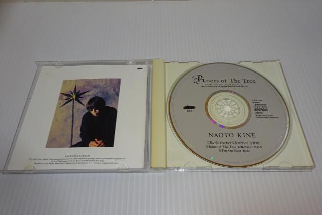 木根尚登★ルーツ・オブ・ザ・トゥリー★Roots of The Tree★TMネットワーク★2枚同梱270円 < タレントグッズ  木根尚登★ルーツ・オブ・ザ・トゥリー★Roots of The Tree★TMネットワーク★2枚同梱270円 < タレントグッズの