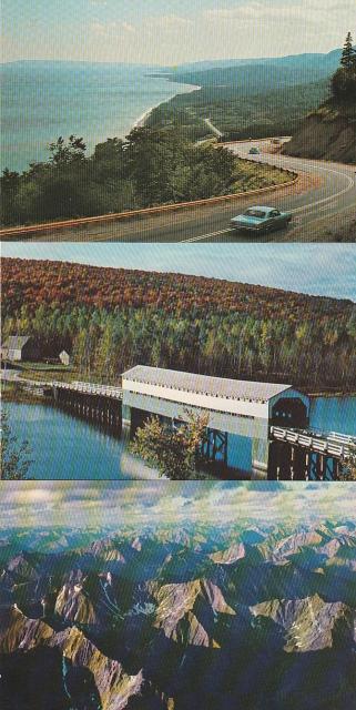 Ji_ X֊G͂81970N 3yF-2z   zr[ 