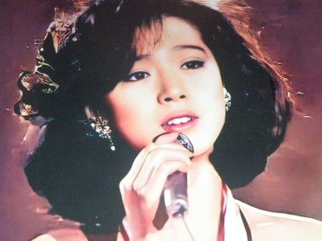 ★中森 明菜(なかもり あきな)チャーミングショット A4サイズ4枚+◎ クリアポケット入り < タレントグッズ ★中森 明菜(なかもり あきな)チャーミングショット A4サイズ4枚+◎ クリアポケット入り < タレントグッズの