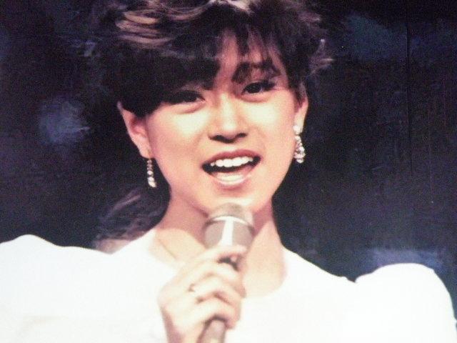 ★中森 明菜(なかもり あきな)チャーミングショット A4サイズ4枚+◎ クリアポケット入り < タレントグッズ ★中森 明菜(なかもり あきな)チャーミングショット A4サイズ4枚+◎ クリアポケット入り < タレントグッズの