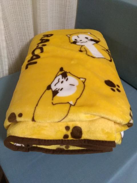 ���X�J���@�X�}�z�^�C���u�����P�b�g �� �A�j��/�R�~�b�N/�L�����N�^�[�� 