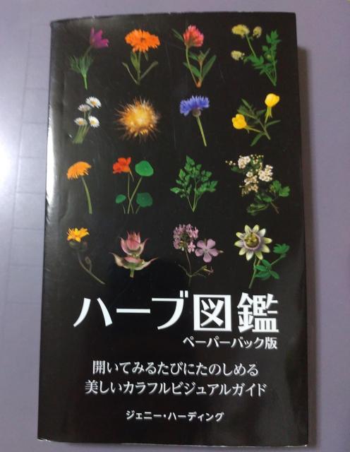 �{ �n�[�u�}�Ӂ@�y�[�p�[�o�b�N�Ł@�W�F�j�[�E�n�[�f�B���O  �� �{/�G���� 