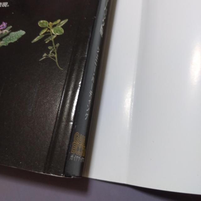 �{ �n�[�u�}�Ӂ@�y�[�p�[�o�b�N�Ł@�W�F�j�[�E�n�[�f�B���O �� �{/�G���� 