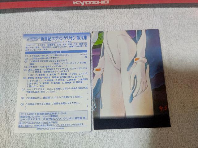 トレカ エヴァンゲリオン2 タイトルカード TI #6 < トレーディングカード トレカ エヴァンゲリオン2 タイトルカード TI #6 < トレーディングカードの