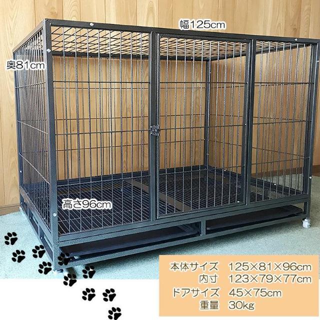 �y�b�g�P�[�W ����^ 3L 125�~81�~96cm �y�b�g�T�[�N�� �� �y�b�g/��|/���|�� 