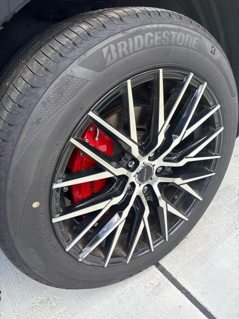 AME(L) STEINER CVX 19C`Zbg 4{Zbg  /oCN