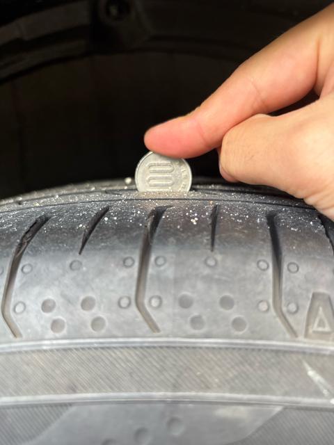 AME(L) STEINER CVX 19C`Zbg 4{Zbg  /oCN