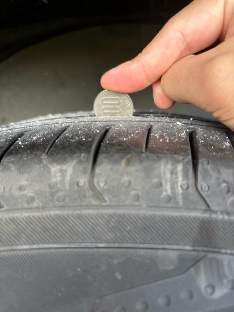 AME(L) STEINER CVX 19C`Zbg 4{Zbg  /oCN