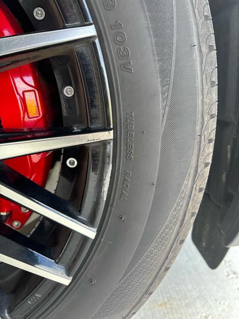 AME(L) STEINER CVX 19C`Zbg 4{Zbg  /oCN