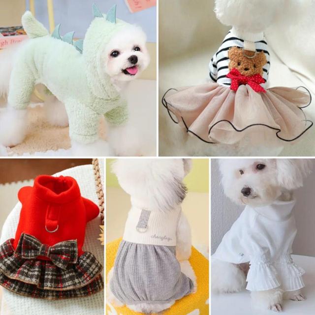 未使用小型犬 ペット服5点セット#L ワンピース ロンパース < ペット/手芸/園芸  未使用小型犬 ペット服5点セット#L ワンピース ロンパース  < ペット/手芸/園芸の