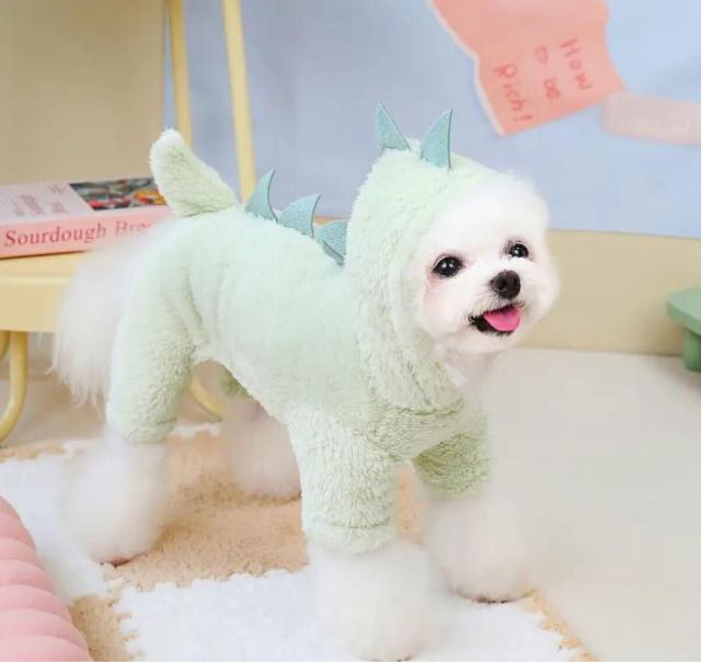 未使用小型犬 ペット服5点セット#L ワンピース ロンパース < ペット/手芸/園芸  未使用小型犬 ペット服5点セット#L ワンピース ロンパース < ペット/手芸/園芸の