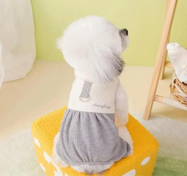 未使用小型犬 ペット服5点セット#L ワンピース ロンパース < ペット/手芸/園芸  未使用小型犬 ペット服5点セット#L ワンピース ロンパース < ペット/手芸/園芸の