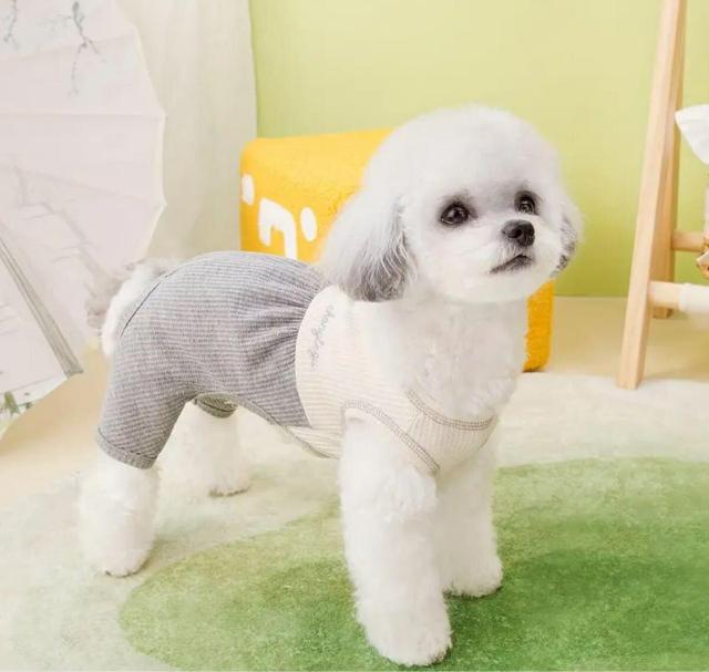 未使用小型犬 ペット服5点セット#L ワンピース ロンパース < ペット/手芸/園芸  未使用小型犬 ペット服5点セット#L ワンピース ロンパース < ペット/手芸/園芸の